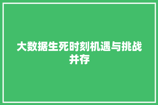 大数据生死时刻机遇与挑战并存