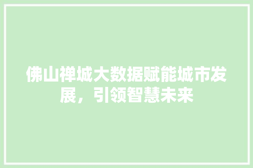 佛山禅城大数据赋能城市发展，引领智慧未来  第1张