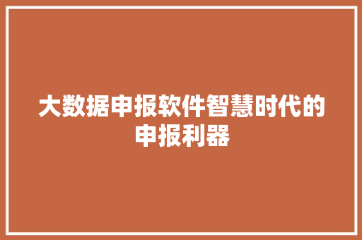 大数据申报软件智慧时代的申报利器