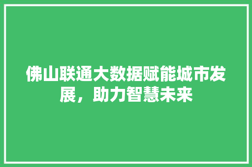 佛山联通大数据赋能城市发展，助力智慧未来