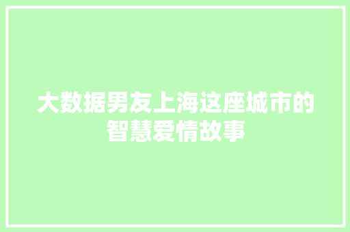 大数据男友上海这座城市的智慧爱情故事