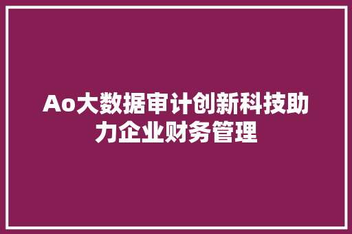 Ao大数据审计创新科技助力企业财务管理