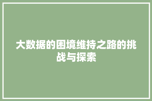 大数据的困境维持之路的挑战与探索  第1张