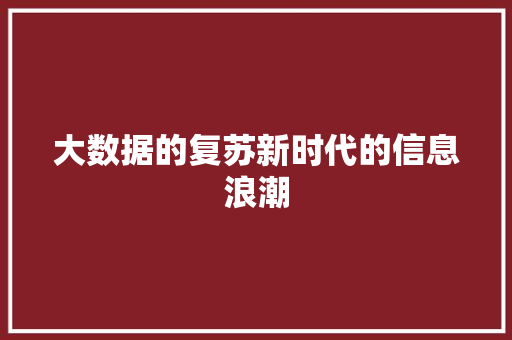 大数据的复苏新时代的信息浪潮  第1张