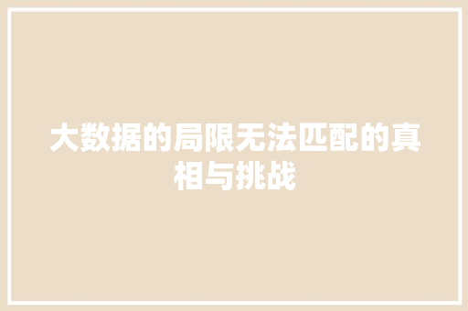 大数据的局限无法匹配的真相与挑战  第1张