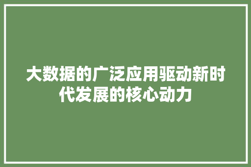 大数据的广泛应用驱动新时代发展的核心动力  第1张