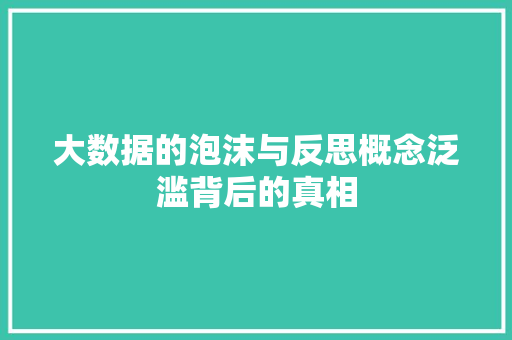 大数据的泡沫与反思概念泛滥背后的真相