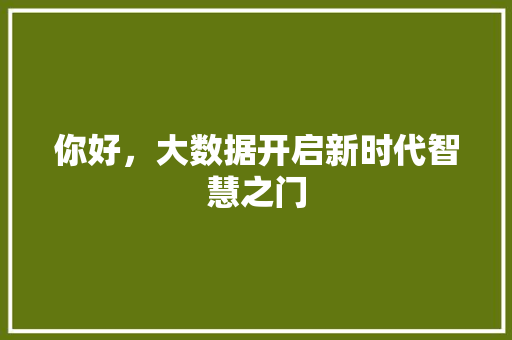 你好，大数据开启新时代智慧之门  第1张