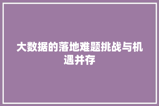 大数据的落地难题挑战与机遇并存
