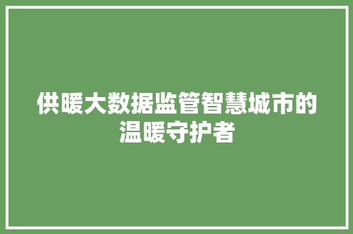 供暖大数据监管智慧城市的温暖守护者