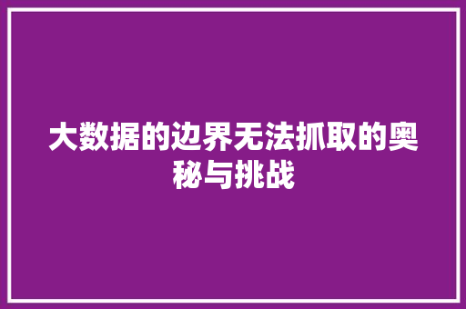 大数据的边界无法抓取的奥秘与挑战
