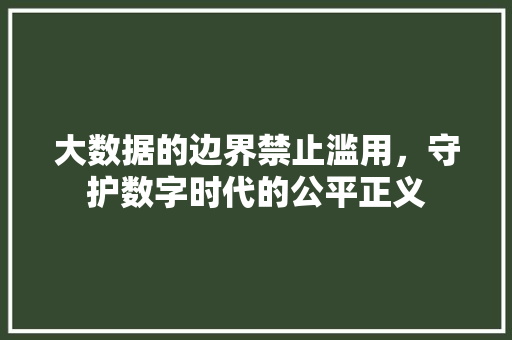 大数据的边界禁止滥用，守护数字时代的公平正义
