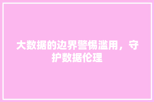大数据的边界警惕滥用，守护数据伦理