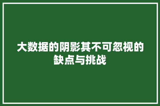 大数据的阴影其不可忽视的缺点与挑战