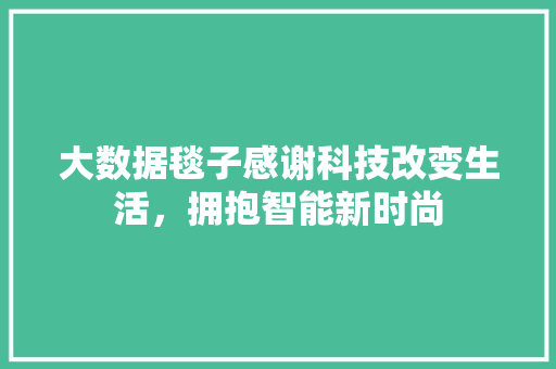 大数据毯子感谢科技改变生活，拥抱智能新时尚  第1张