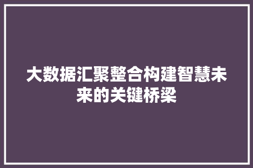 大数据汇聚整合构建智慧未来的关键桥梁