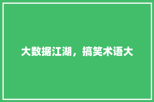 大数据江湖，搞笑术语大