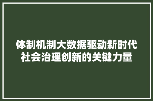 体制机制大数据驱动新时代社会治理创新的关键力量
