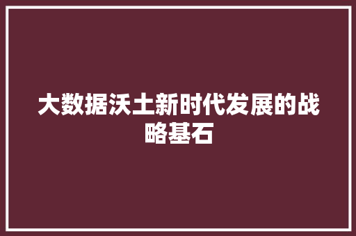 大数据沃土新时代发展的战略基石  第1张