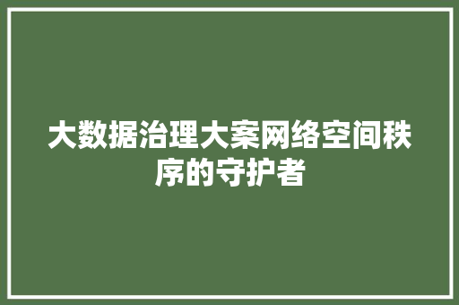 大数据治理大案网络空间秩序的守护者
