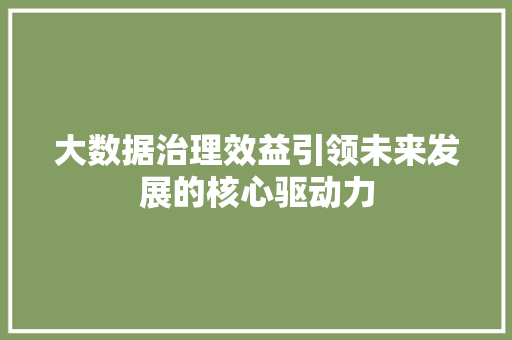 大数据治理效益引领未来发展的核心驱动力
