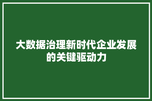 大数据治理新时代企业发展的关键驱动力