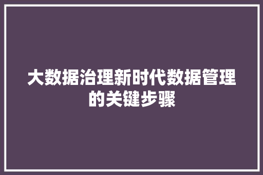 大数据治理新时代数据管理的关键步骤