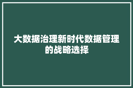大数据治理新时代数据管理的战略选择  第1张