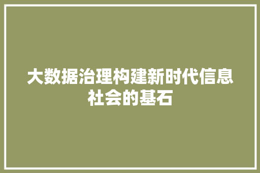 大数据治理构建新时代信息社会的基石