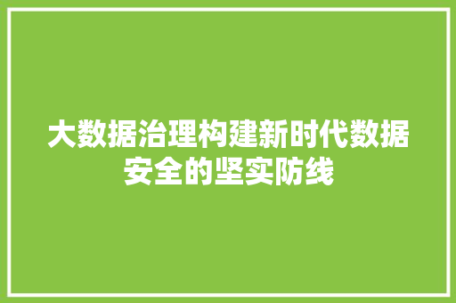 大数据治理构建新时代数据安全的坚实防线