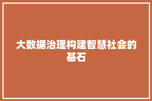 大数据治理构建智慧社会的基石