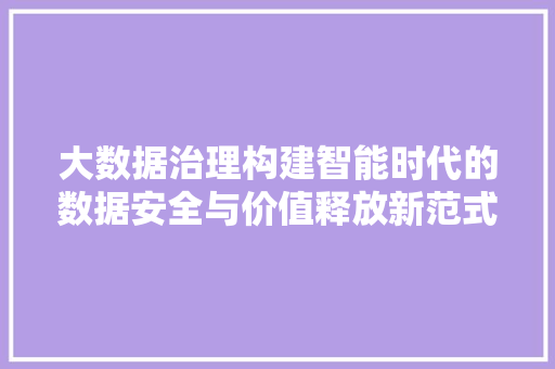 大数据治理构建智能时代的数据安全与价值释放新范式