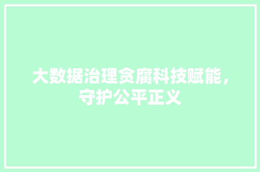 大数据治理贪腐科技赋能，守护公平正义