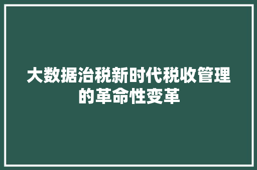 大数据治税新时代税收管理的革命性变革
