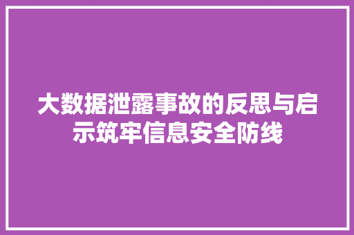 大数据泄露事故的反思与启示筑牢信息安全防线  第1张
