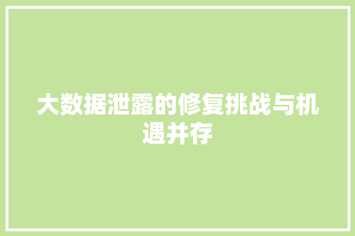 大数据泄露的修复挑战与机遇并存