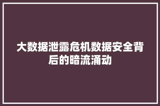 大数据泄露危机数据安全背后的暗流涌动  第1张