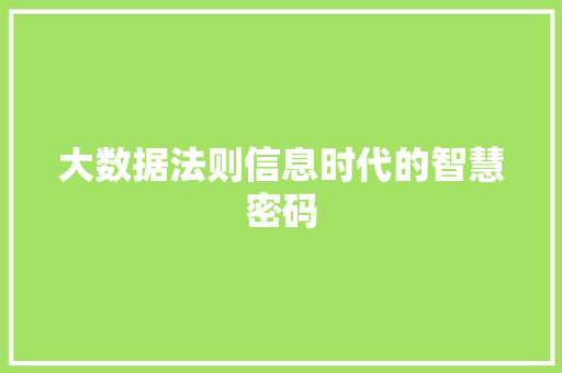 大数据法则信息时代的智慧密码