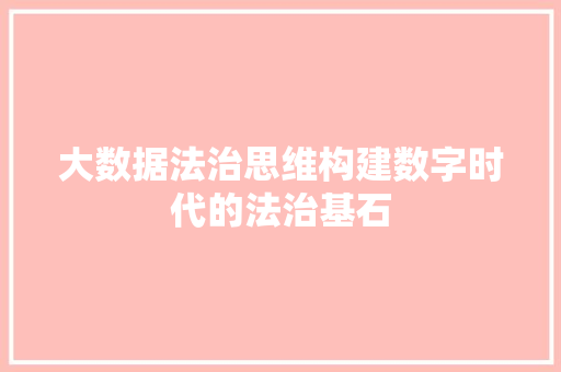 大数据法治思维构建数字时代的法治基石