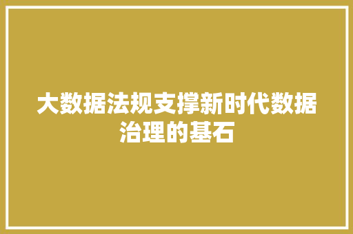 大数据法规支撑新时代数据治理的基石