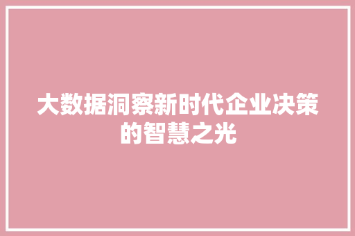 大数据洞察新时代企业决策的智慧之光