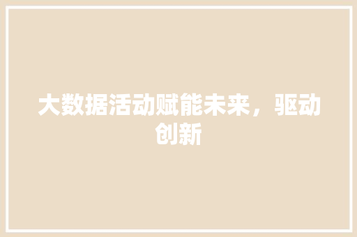 大数据活动赋能未来，驱动创新