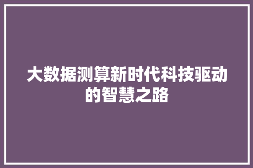 大数据测算新时代科技驱动的智慧之路