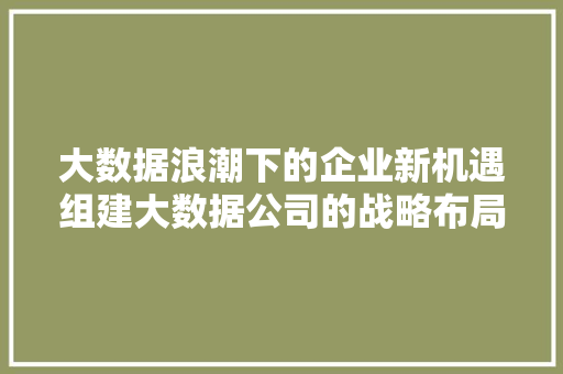 大数据浪潮下的企业新机遇组建大数据公司的战略布局与方法探索  第1张