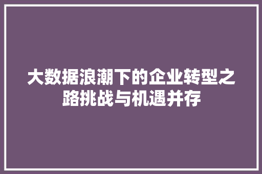 大数据浪潮下的企业转型之路挑战与机遇并存  第1张