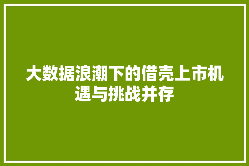 大数据浪潮下的借壳上市机遇与挑战并存  第1张
