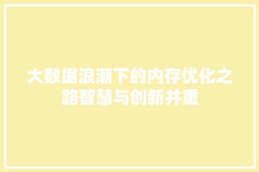 大数据浪潮下的内存优化之路智慧与创新并重