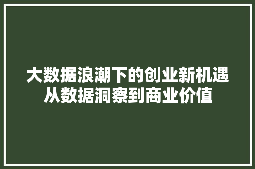 大数据浪潮下的创业新机遇从数据洞察到商业价值
