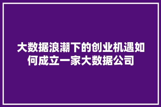 大数据浪潮下的创业机遇如何成立一家大数据公司  第1张