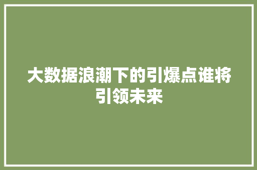 大数据浪潮下的引爆点谁将引领未来